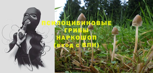 не бодяженный Абаза