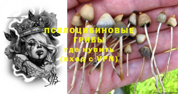 mdpv Абдулино