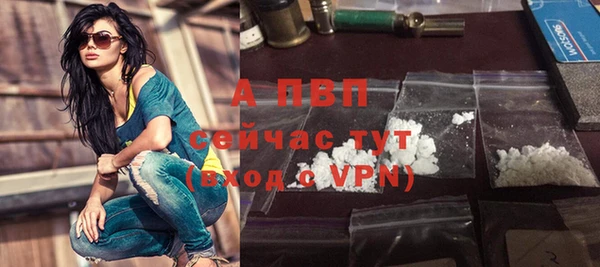 прущие грибы Протвино